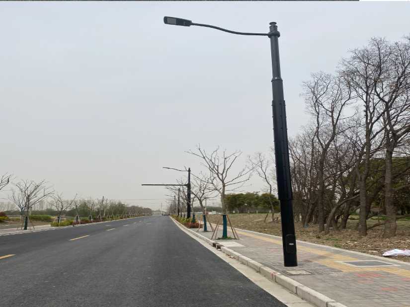 新城区上海综合杆 太阳能路灯工程